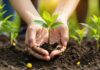 small actions big impact