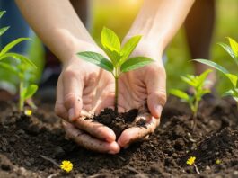 small actions big impact