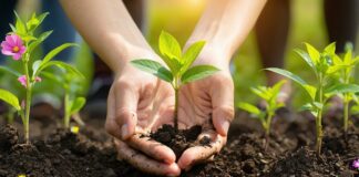 small actions big impact